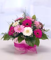 Baby Girl Arrangement
